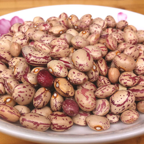 花豆(鲜),0人认为少量吃,痛风快好,痛风,高尿酸交流及自我管理工具